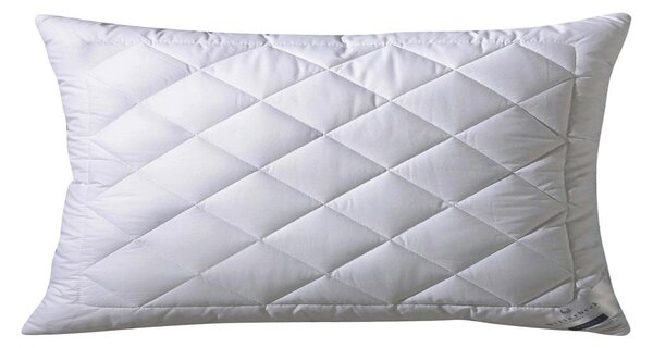 VANKÚŠ POD HLAVU, 40/80 cm Billerbeck - Prikrývky & vankúše, Online Only