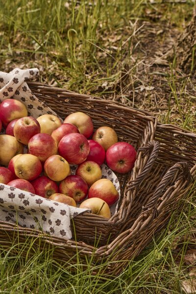Prútený kôš Unpeeled Willow Väčší
