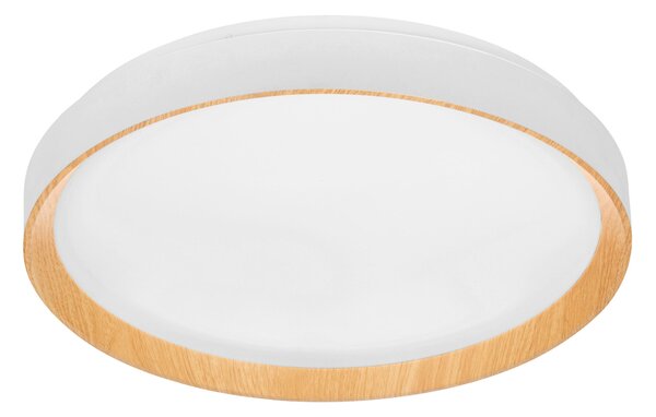 STROPNÉ LED SVIETIDLO, 48/8 cm Novel - Interiérové svietidlá