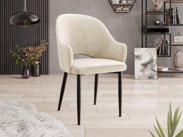Mirjan24 Čalúnená jedálenská stolička Dazja, Dostupné poťahy: Magic Velvet 2250, Farby: čierna 5903211334399