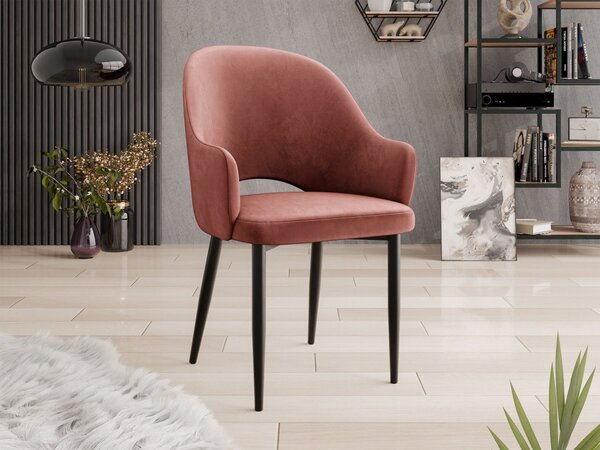Mirjan24 Čalúnená jedálenská stolička Dazja, Dostupné poťahy: Magic Velvet 2250, Farby: čierna 5903211334399