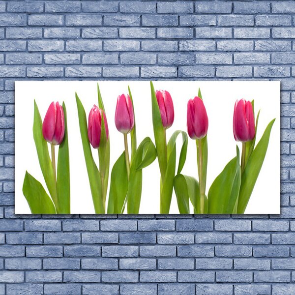 Obraz Canvas Tulipány kvety rastlina 120x60 cm