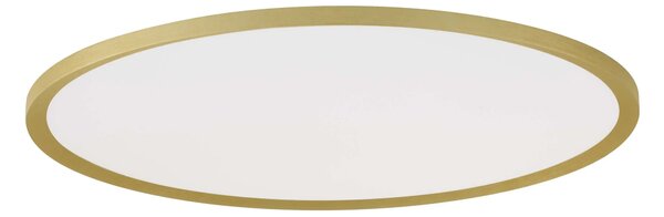 LED stmievateľné brúsené zlaté moderné stropné svietidlo Aoton 60