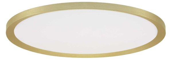 LED stmievateľné zlaté dizajnové stropné svietidlo Aoton 40