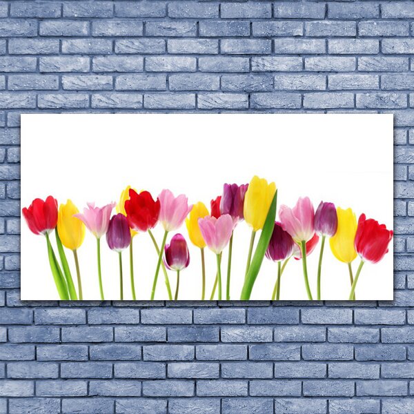 Obraz na plátne Tulipány kvety rastlina 140x70 cm