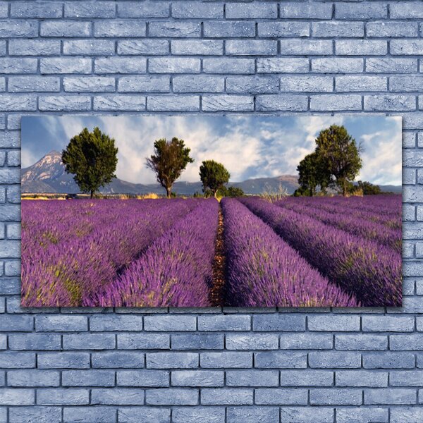 Obraz Canvas Lúka stromy príroda 120x60 cm