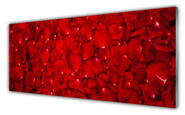 Sklenený obklad Do kuchyne Plátky rastlina príroda 125x50 cm