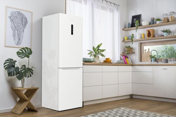 Gorenje N61EA2W4 - Kombinovaná chladnička