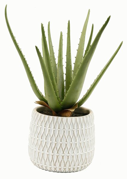 UMELÁ RASTLINA 35 cm - Kvety & kvetináče, Online Only