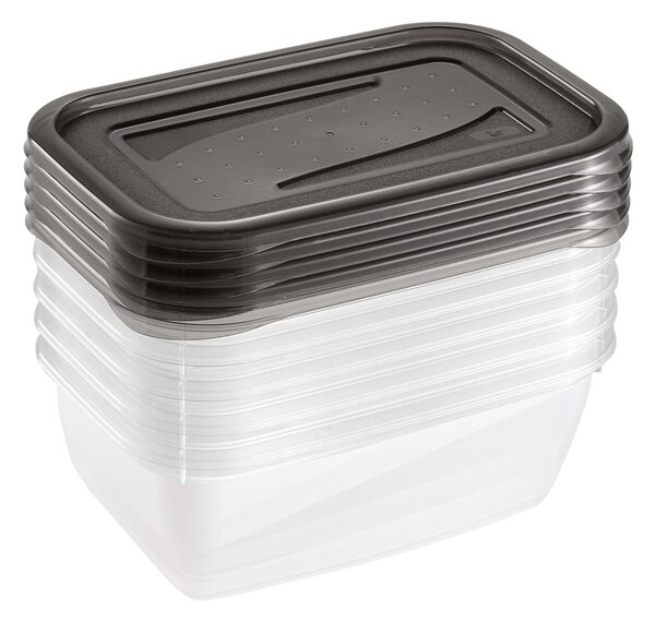 Dóza na potraviny Fresh & amp; Freeze, 5 ks, 0,5 l