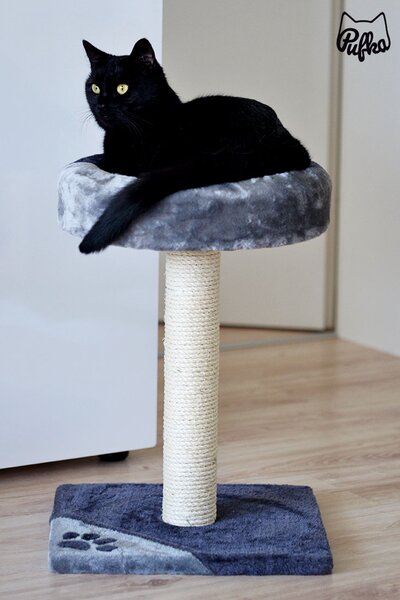 Sivé škrabadlo s odpočívadlom TARIFA 52cm, Trixie, Výber Kupujem pre útulkáčov