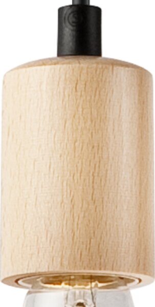 Luster na lane LEON 1xE27/60W/230V