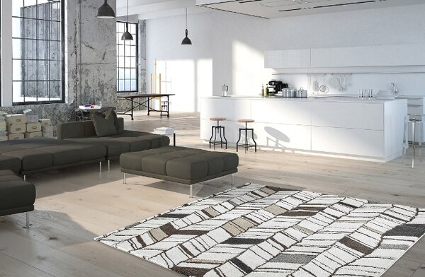 Obsession , AKCIA: 80x150 cm Kusový koberec SOHO 841 WHITE, biela, šedá, obývacia izba