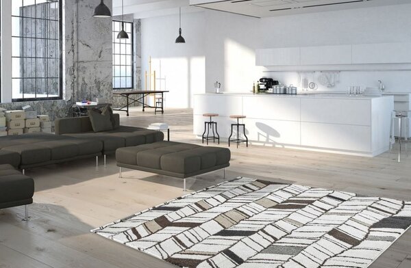 Obsession , AKCIA: 80x150 cm Kusový koberec SOHO 841 WHITE, biela, šedá, obývacia izba