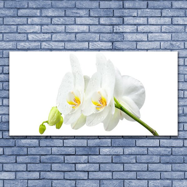 Obraz Canvas Plátky kvet bíla orchidea 140x70 cm