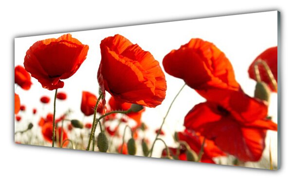 Nástenný panel  Tulipány kvety 125x50 cm