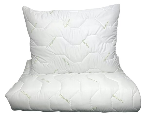 INTERMEDIC SK Set paplón 140x200 + vankúš 70x90 Aloe Vera Green