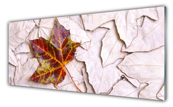 Nástenný panel  Listy rastlina 125x50 cm
