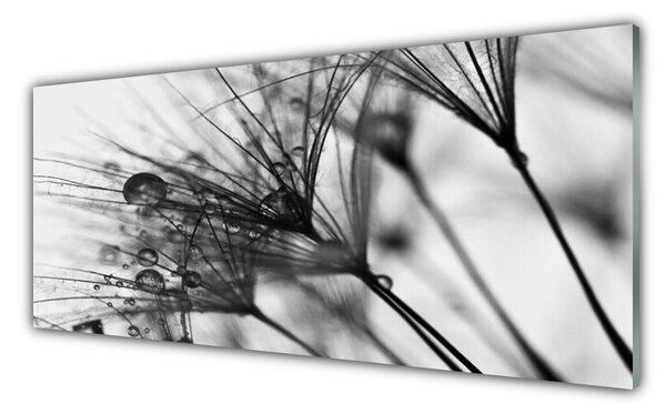 Nástenný panel  Abstrakcie rastlina 125x50 cm