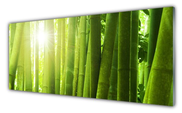 Nástenný panel  Bambus rastlina 125x50 cm