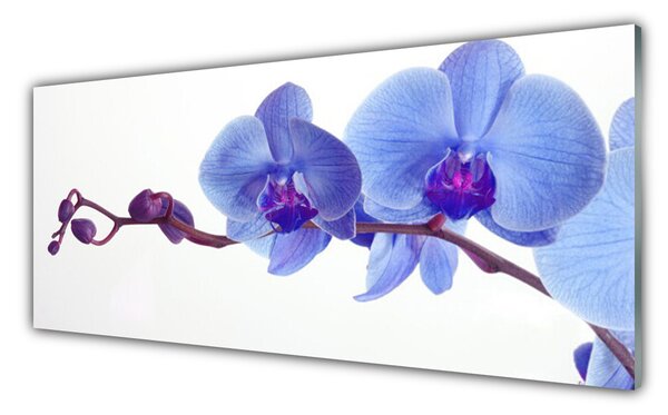 Nástenný panel  Kvety rastlina 125x50 cm