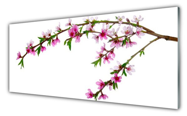 Nástenný panel  Vetva kvet príroda 125x50 cm