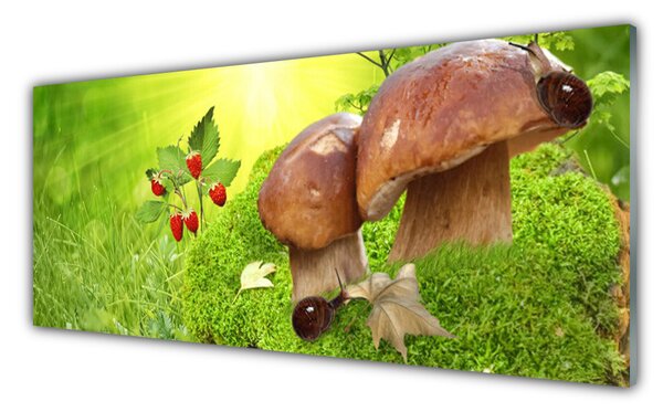 Nástenný panel  Huby divoké jahody 125x50 cm