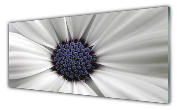 Nástenný panel  Kvety rastlina 125x50 cm