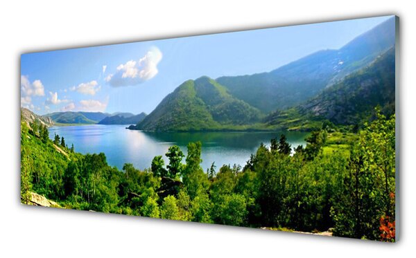 Nástenný panel  Les jazero hory príroda 125x50 cm