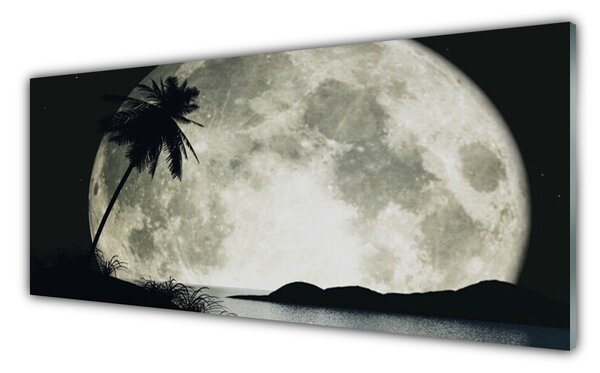 Nástenný panel  Noc mesiac palma krajina 125x50 cm