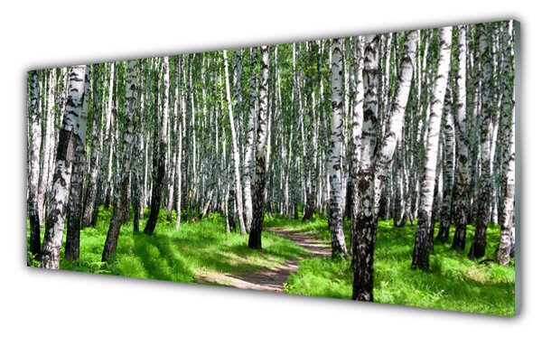 Nástenný panel  Stromy tráva príroda 125x50 cm