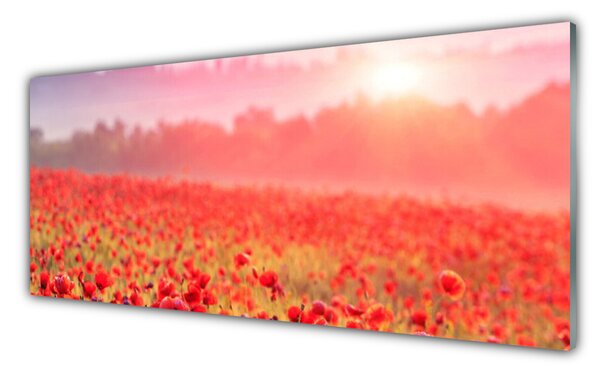 Nástenný panel  Lúka kvety príroda 125x50 cm
