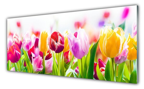 Nástenný panel  Tulipány kvety 125x50 cm