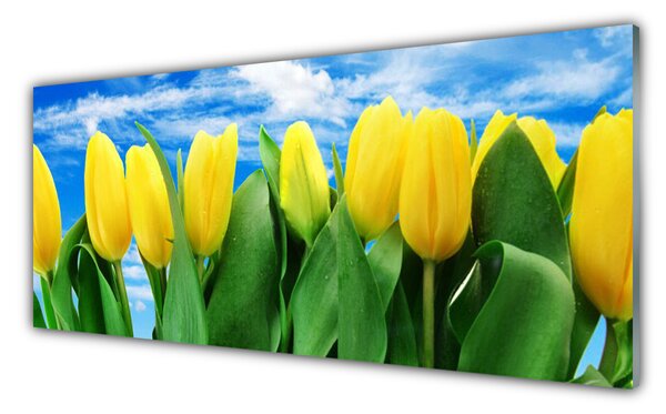 Nástenný panel  Tulipány kvety 125x50 cm
