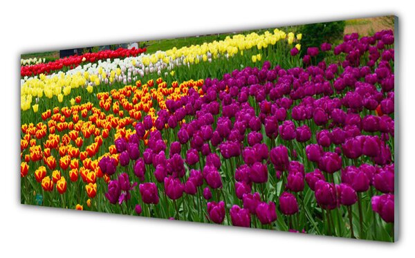 Nástenný panel  Tulipány kvety 125x50 cm
