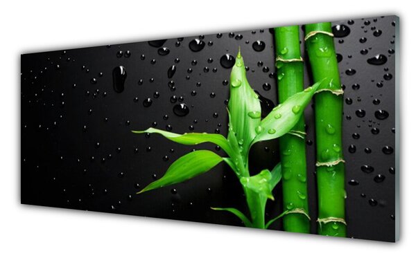 Nástenný panel  Bambus listy rastlina 125x50 cm