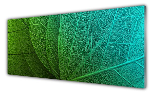 Nástenný panel  Abstrakcie listy rastlina 125x50 cm