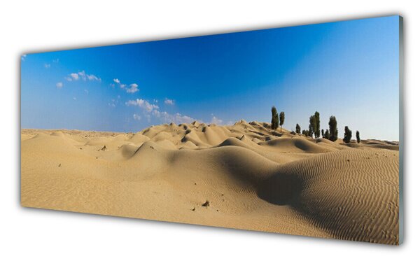 Nástenný panel  Púšť krajina 125x50 cm