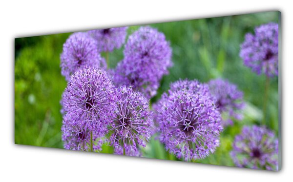 Sklenený obklad Do kuchyne Fialové kvety lúka 125x50 cm