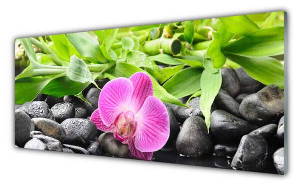 Sklenený obklad Do kuchyne Kvety orchidea kamene zen 125x50 cm