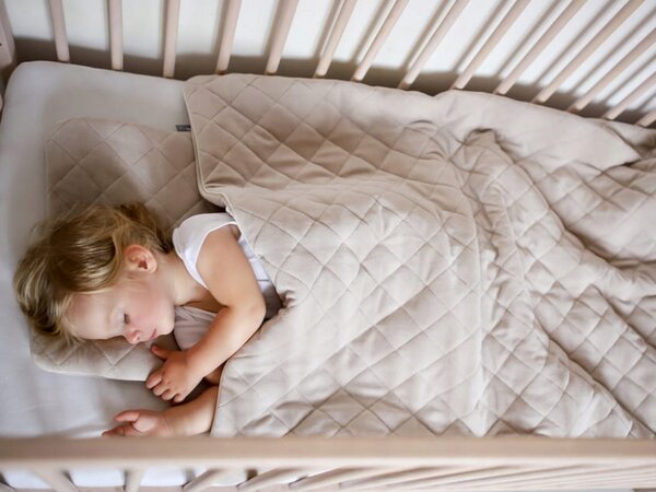 Vulpi Luxusná velúrová deka do kočíka + vankúš Farba: sivá