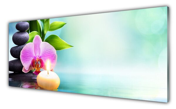 Sklenený obklad Do kuchyne Bambus kamene zen umenie 125x50 cm