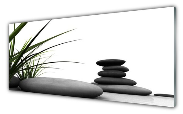 Sklenený obklad Do kuchyne Kamene zen tráva 125x50 cm
