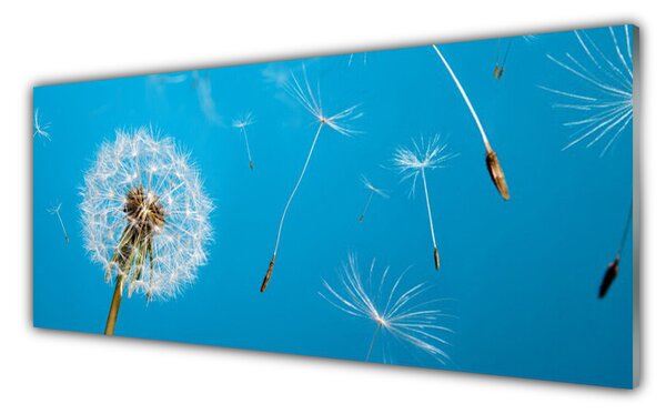 Sklenený obklad Do kuchyne Púpavy kvety príroda 125x50 cm