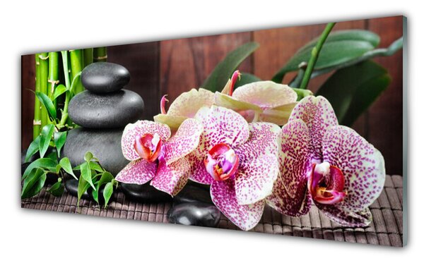 Sklenený obklad Do kuchyne Bambus kamene zen kvety 125x50 cm