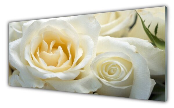 Nástenný panel  Ruže kvety 125x50 cm
