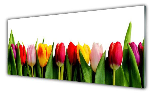 Nástenný panel  Tulipány rastlina 125x50 cm