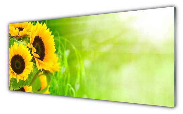 Nástenný panel  Slnečnicami rastlina 125x50 cm