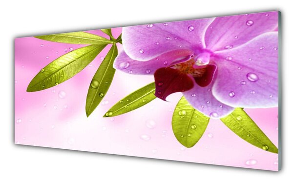 Nástenný panel  Kvet listy rastlina 125x50 cm