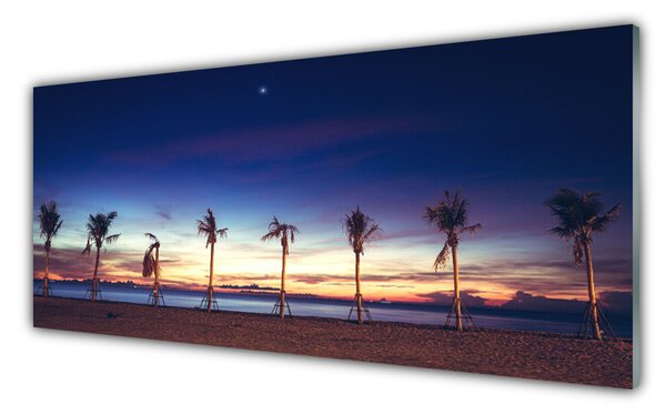 Nástenný panel  Palma strom more krajina 125x50 cm